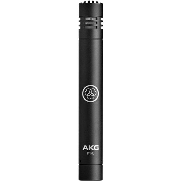 AKG P170 Small-Diaphragm Condenser Microphone (Black)-microphone-AKG- Hermes Music