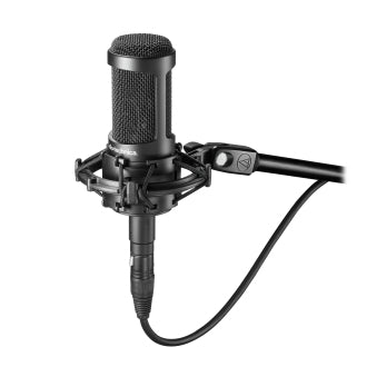 Audio Technica AT2050 Side-Addressed Multi-pattern Condenser Microphone-microphone-Audio Technica- Hermes Music