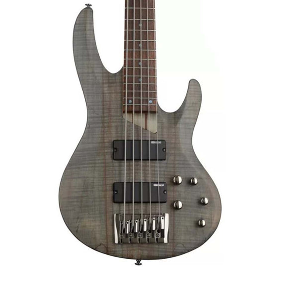 ESP LTD B-205SM Bass Guitar See Thru Black Satin-bass-ESP Guitars- Hermes Music