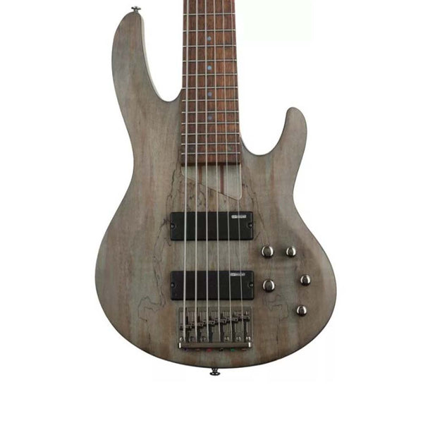 ESP LTD B-206SM Bass Guitar - See Thru Black Satin-bass-ESP Guitars- Hermes Music