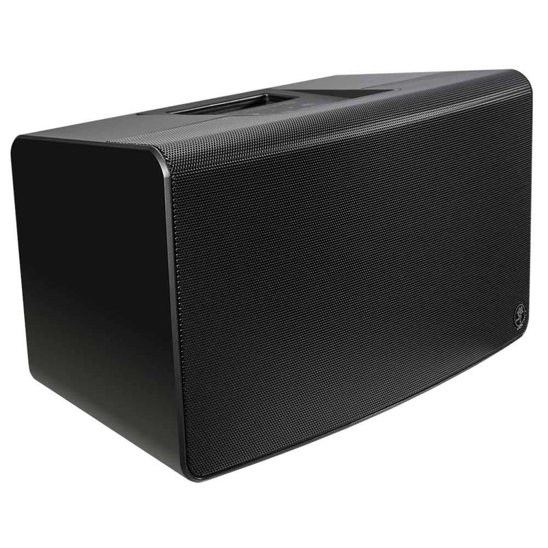 Mackie FREEPLAY LIVE Personal PA with Bluetooth-speaker-Mackie- Hermes Music