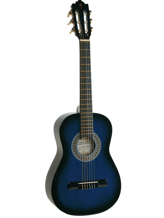 Palmer Special Size Sofia 34" Guitar Blue-guitar-Palmer- Hermes Music