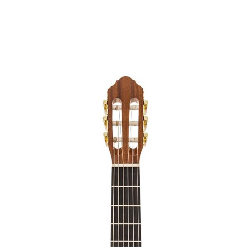 Peavey Delta Woods™ CNS-1™ Classical Nylon String Guitar-guitar-Peavey- Hermes Music