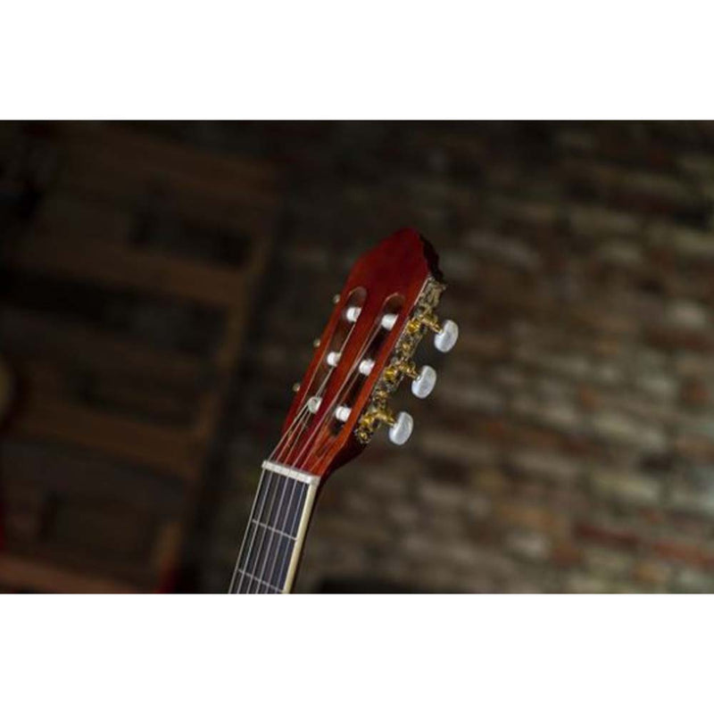 Peavey Delta Woods™ CNS-2™ Classical Nylon String Guitar-guitar-Peavey- Hermes Music