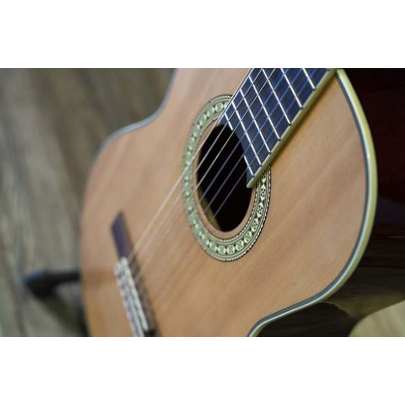 Peavey Delta Woods™ CNS-2™ Classical Nylon String Guitar-guitar-Peavey- Hermes Music